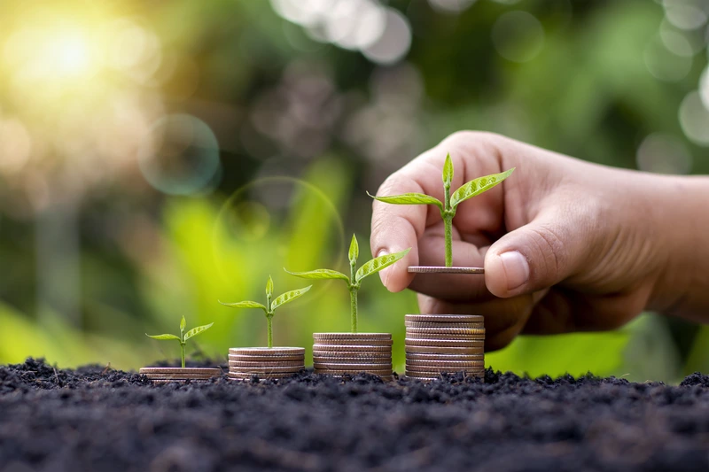 7 Pilihan Investasi Masa Depan agar Keuangan Terjamin Aman
